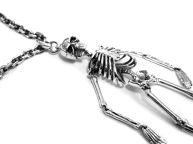   Skeleton TPDS0647