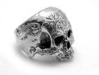    Factured Skull TRS0850